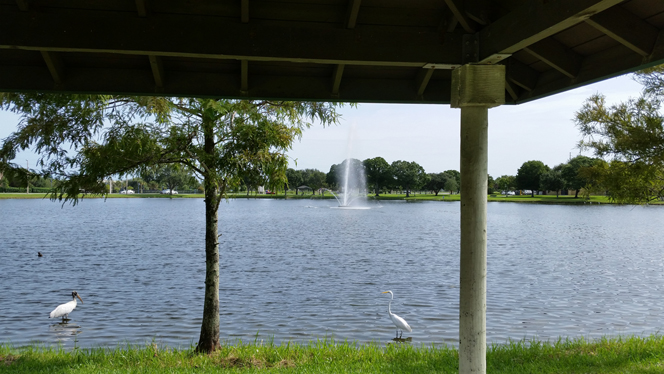 WELLS PARK
