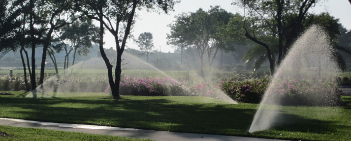 irrigation