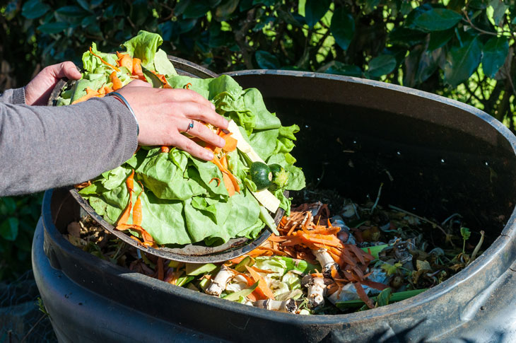 Someone adds vegetable scraps to her composter. Photo from iStock.com