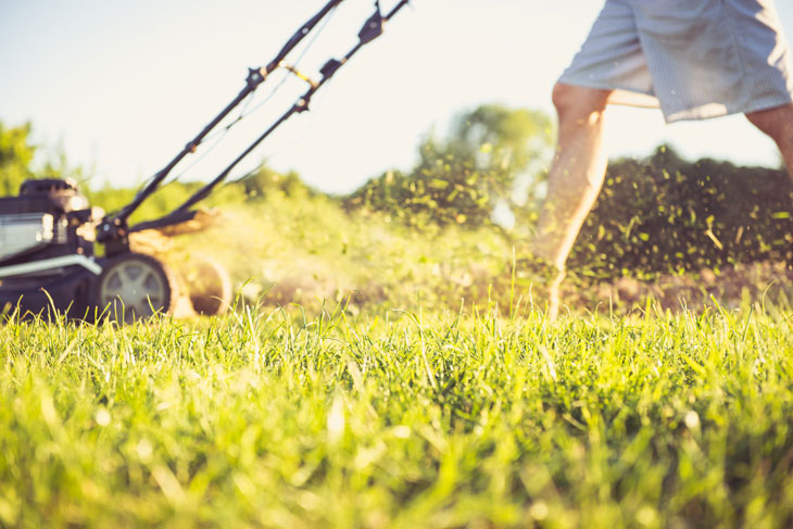 person pushing lawn mower on grass with grass clippings in the air