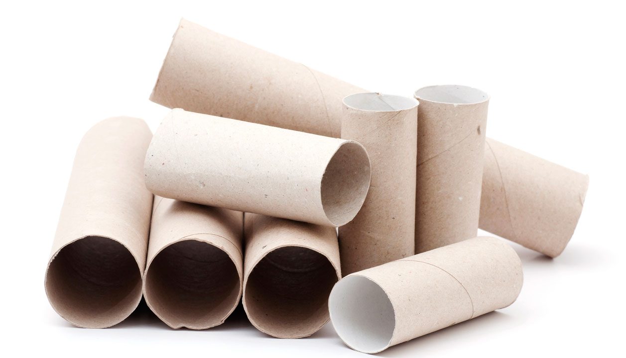 Cardboard cores from toilet paper rolls