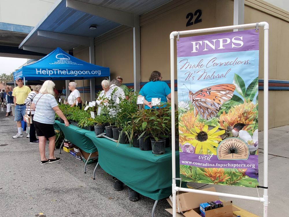 A woman looks at plants on a table with a FNPS sign in the foreground.