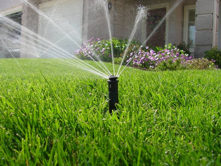Close up of a sprinkler watering grass in front of a house.