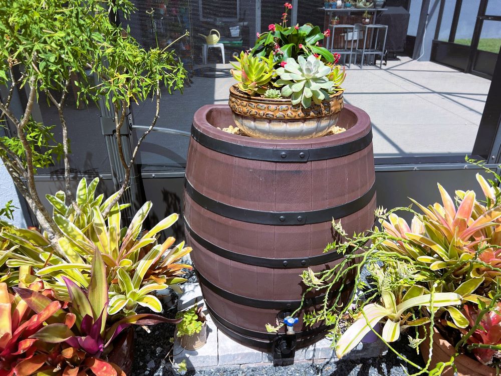 Rain barrel courtesy of Beth Patterson