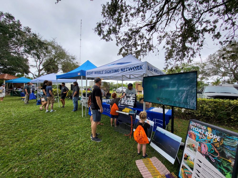 Right whale sighting exhibit at Indian River Lagoon Day, Front Street Park.